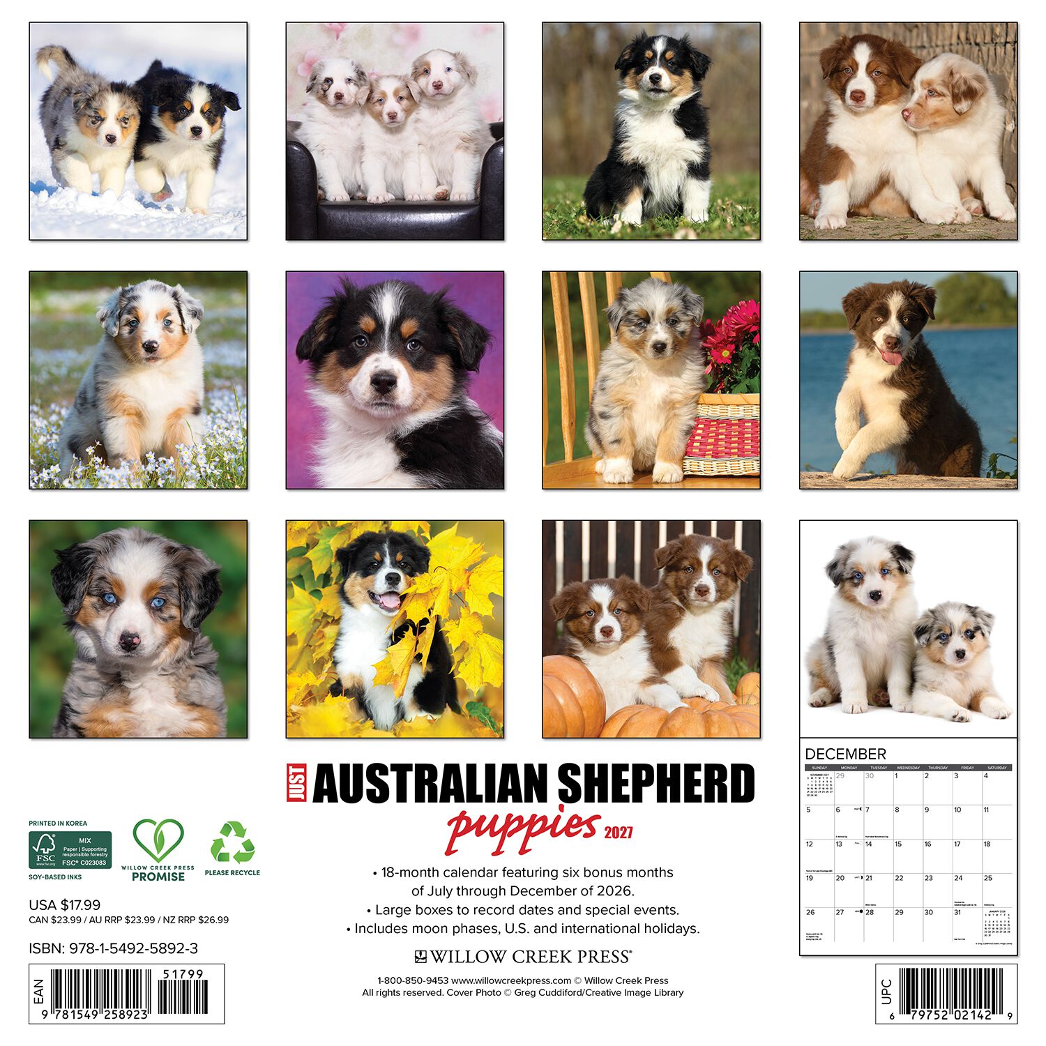 Willow Creek Press Just Australian Shepherd Puppies 2027 Wall Calendar