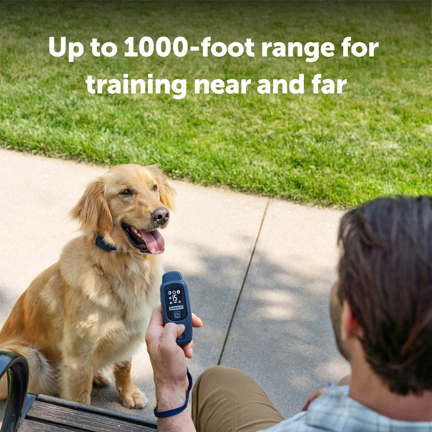 Petsafe Basic Dog Trainer With Remote &ndash; Waterproof Training Dog Collar, 300 Ft Range