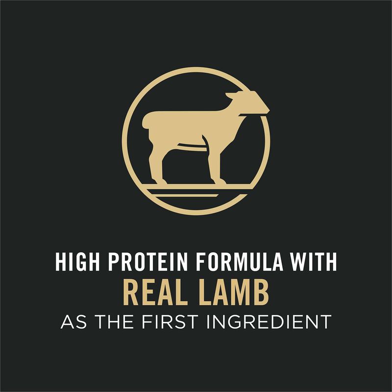 Purina Pro Plan Focus Adult Sensitive Skin & Stomach Lamb & Rice Formula Cat Food image number 20