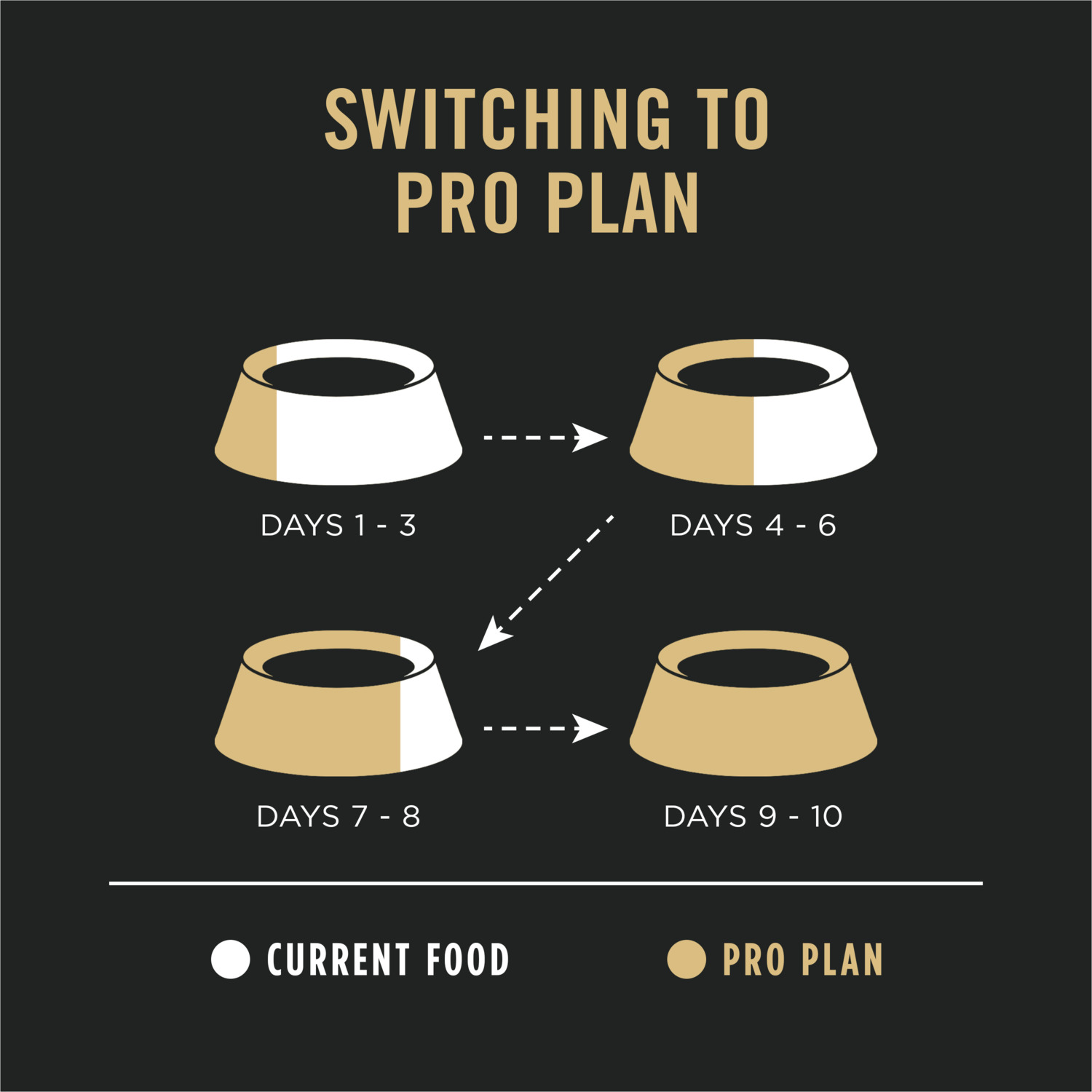 Purina Pro Plan Sensitive Skin And Stomach Salmon And Rice Formula Dry Dog Food, 4Lb