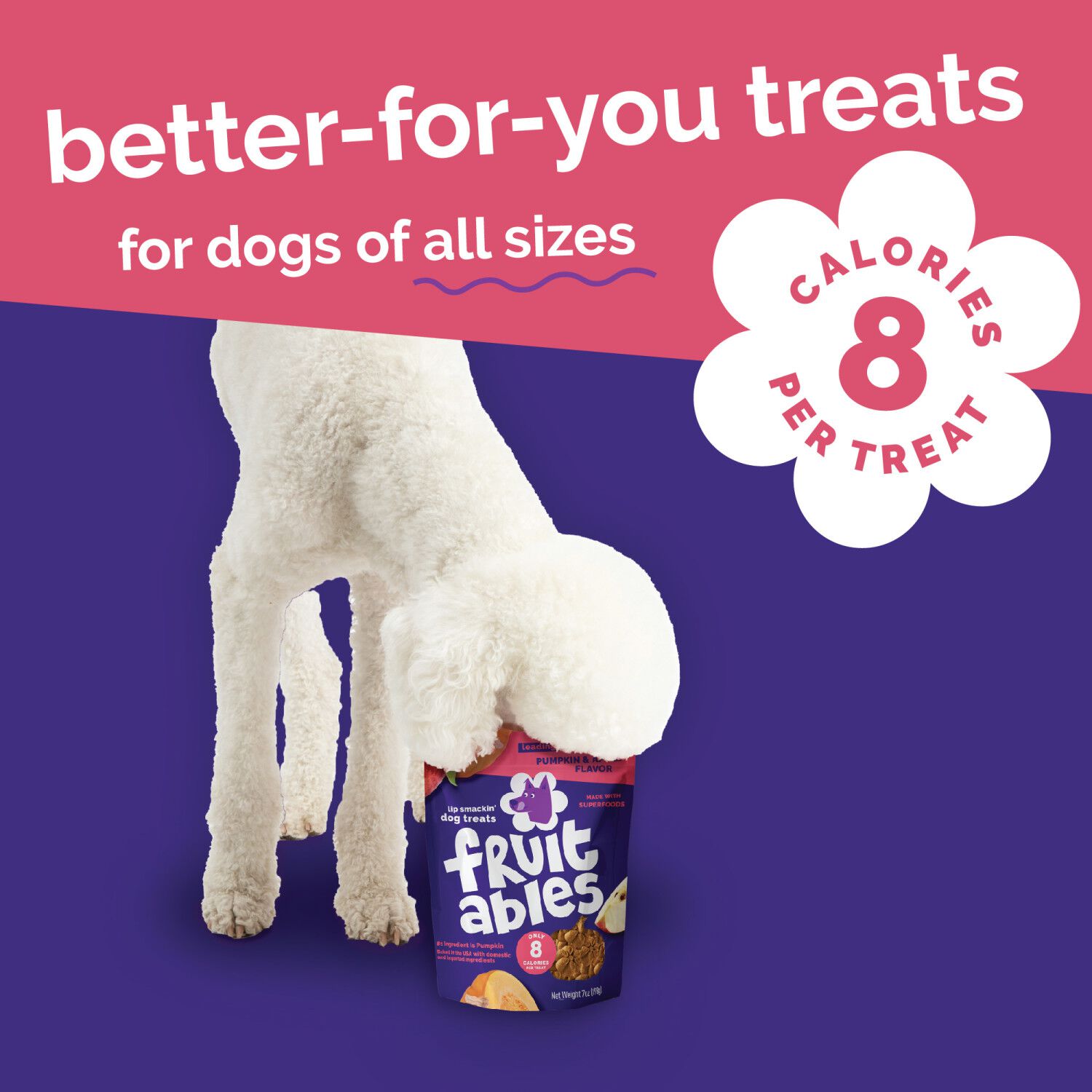 Fruitables Low Calorie Baked Crunchy Dog Treats,  Pumpkin & Apple, 12-Oz Bag