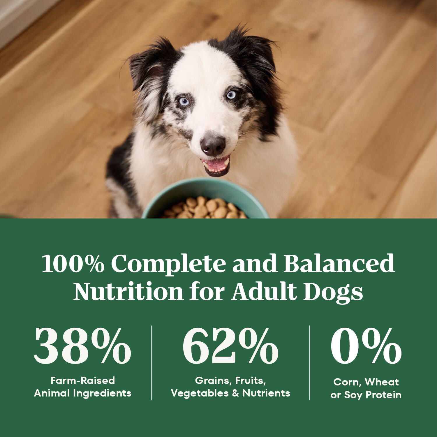 Nutro Wholesome Essentials Large Breed Adult Chicken, Whole Brown Rice & Sweet Potato Recipe Dog Food, 30-Lb