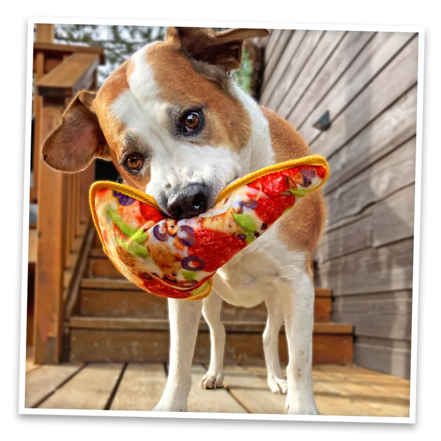 Doggijuana Tuffer Chewer Supreme Pizza Juananip Refillable Dog Toy
