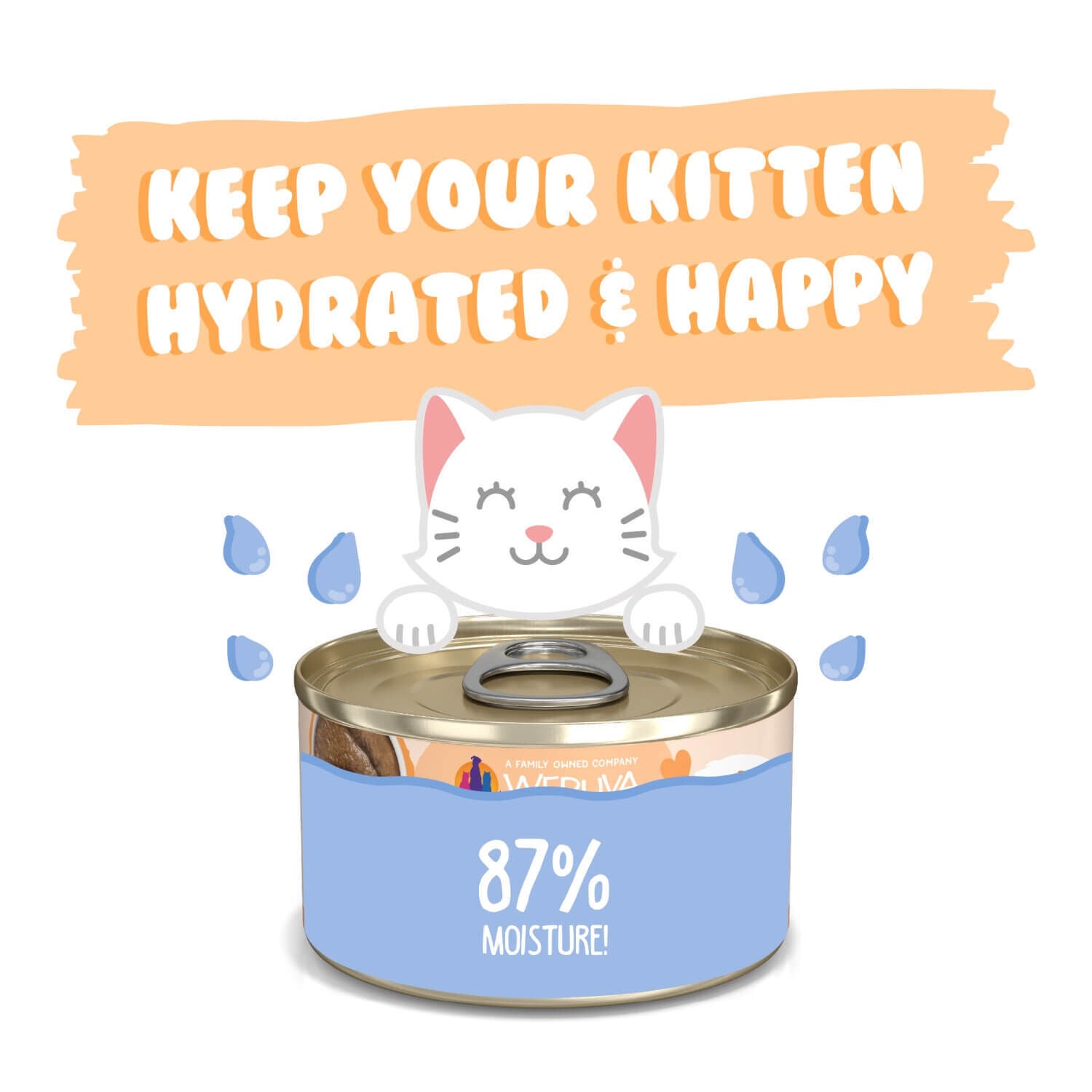 Weruva Kitten Grain Free Tuna & Salmon Formula In Hydrating Puree Wet Cat Food, 3-Oz Can