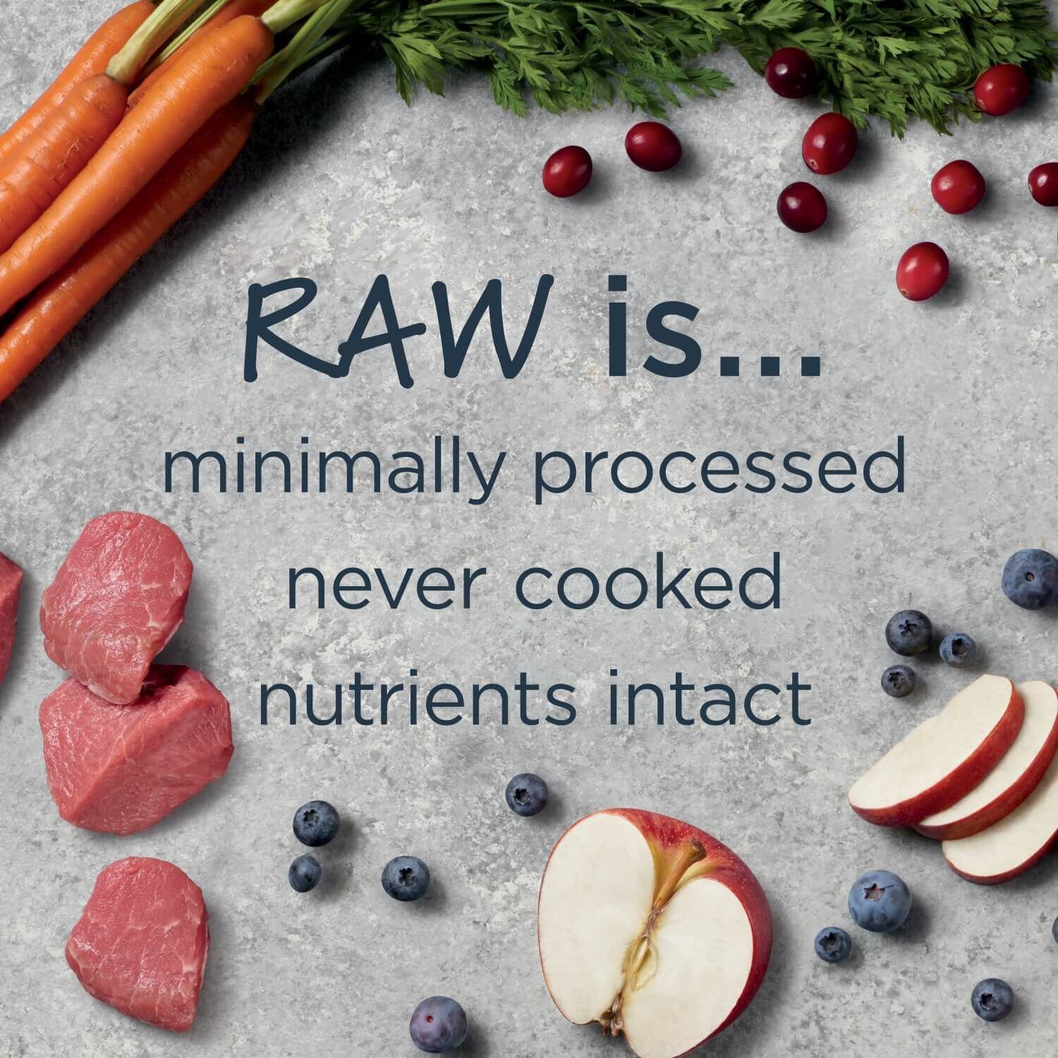 Instinct Raw Boost Whole Grain Real Lamb & Oatmeal Recipe Dry Dog Food, 3.5-Lb Bag