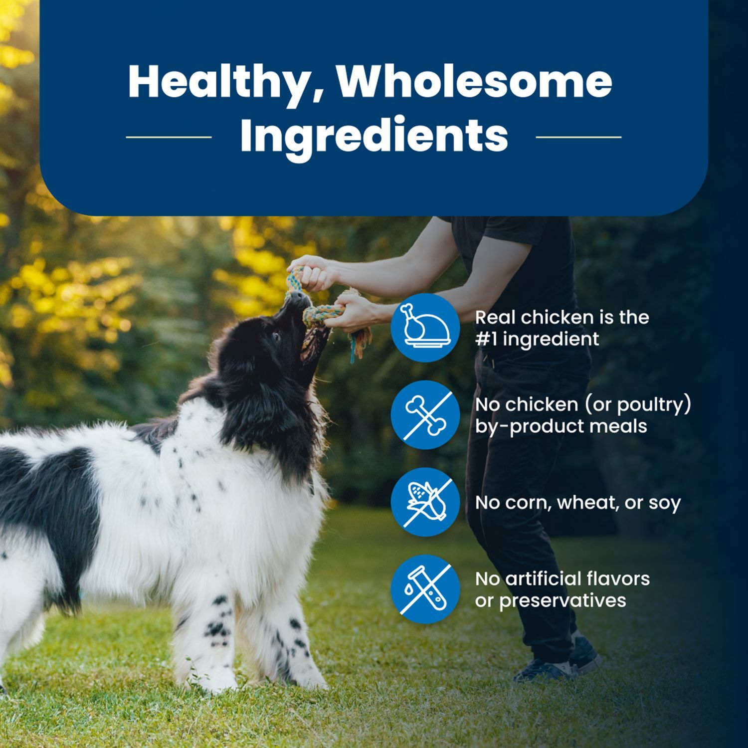 Blue Buffalo Life Protection Chicken & Brown Rice Adult Dog Food, 30-Lb