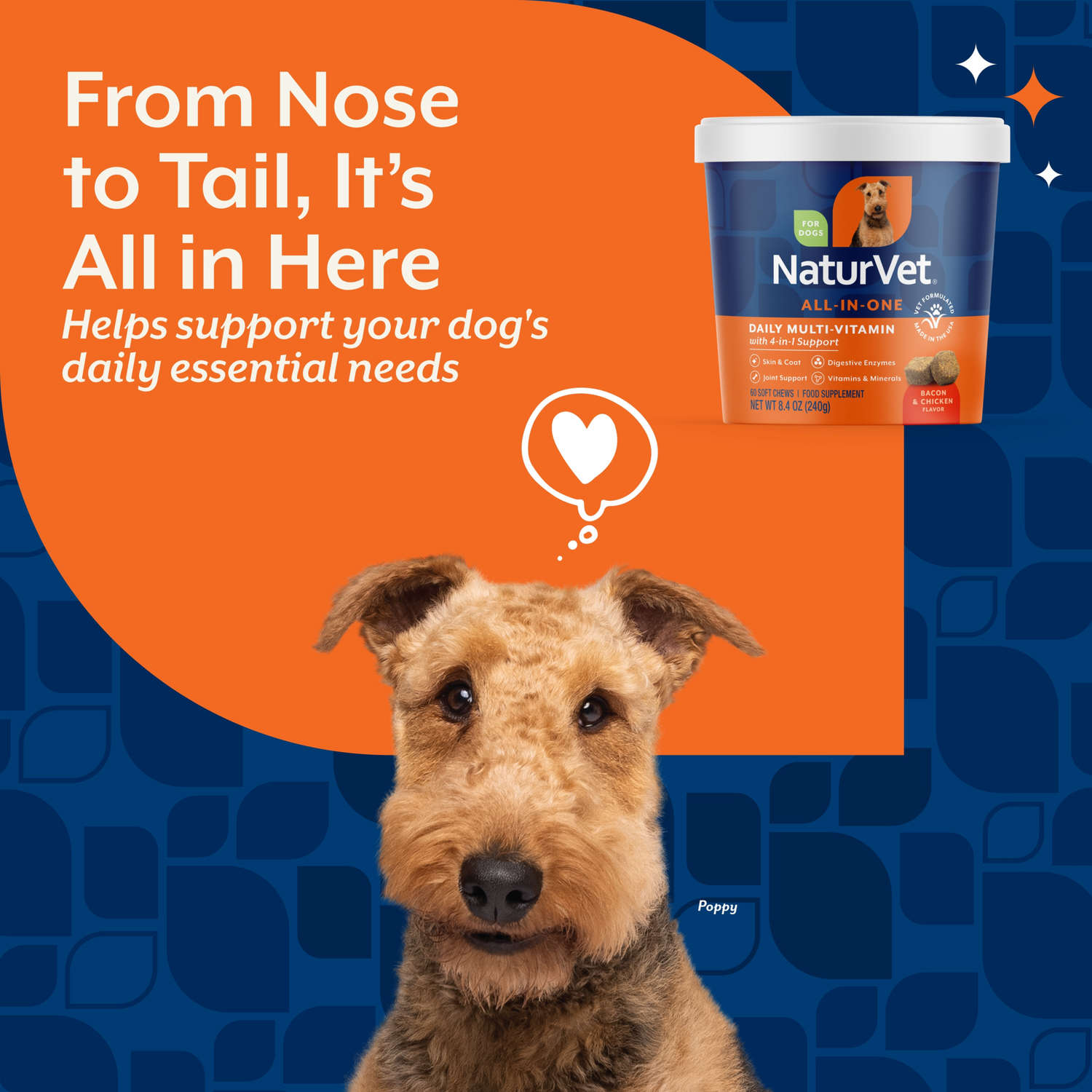 Naturvet All-In-One Vitamin Dog Supplement Soft Chews, 60-Count