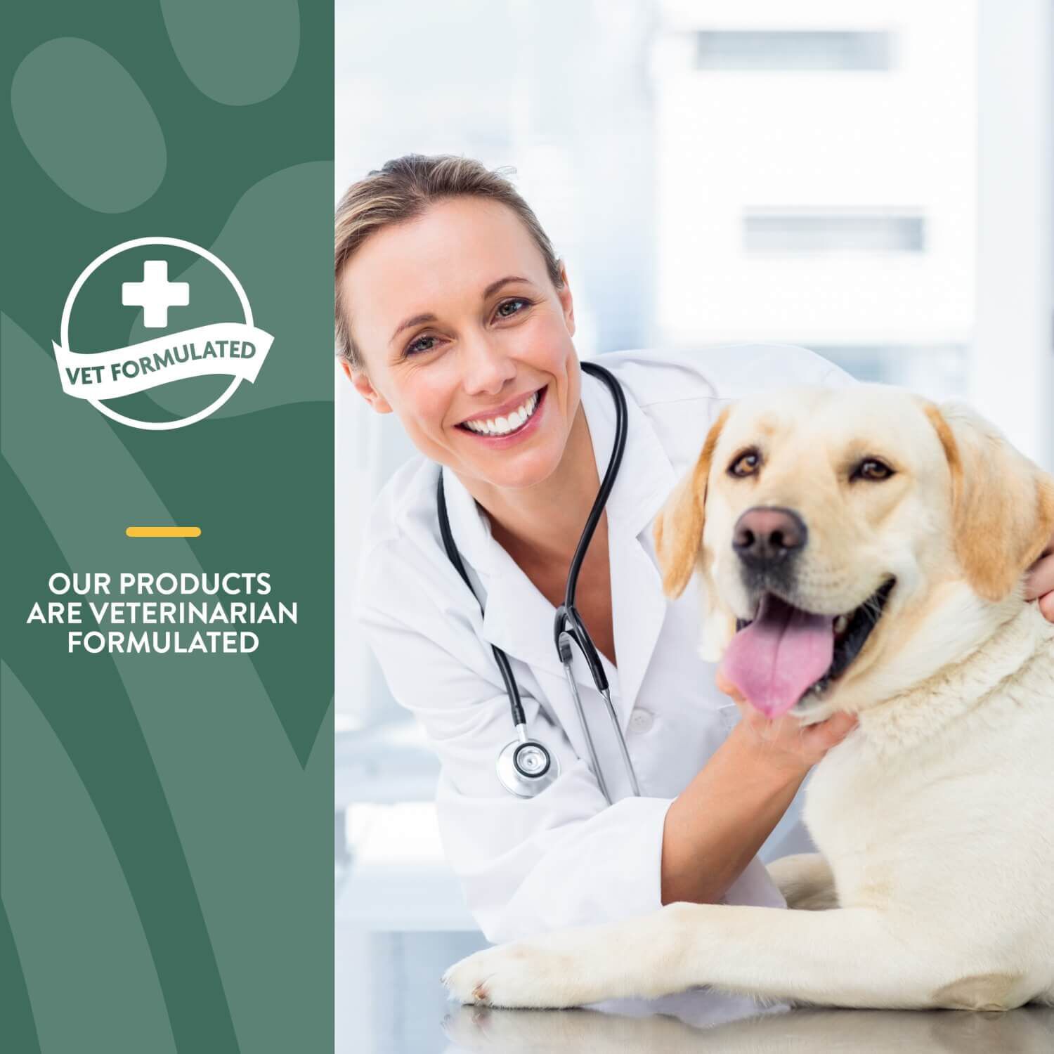 Naturvet Hemp Joint Health Soft Chews For Dogs