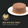 Focus Adult Classic Urinary Tract Health Formula Turkey & Giblets Entree Cat Food