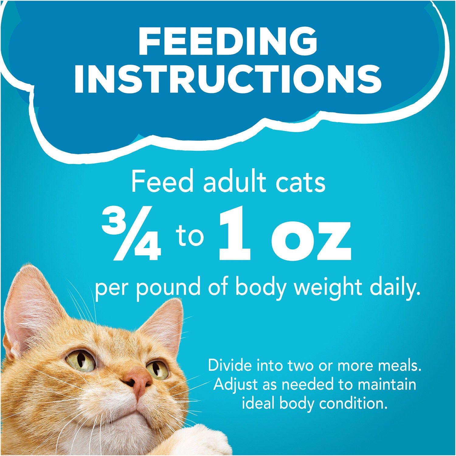 Friskies Fish-A-Licious Wet Cat Food Variety Pack Of 32 5.5 Oz Cans