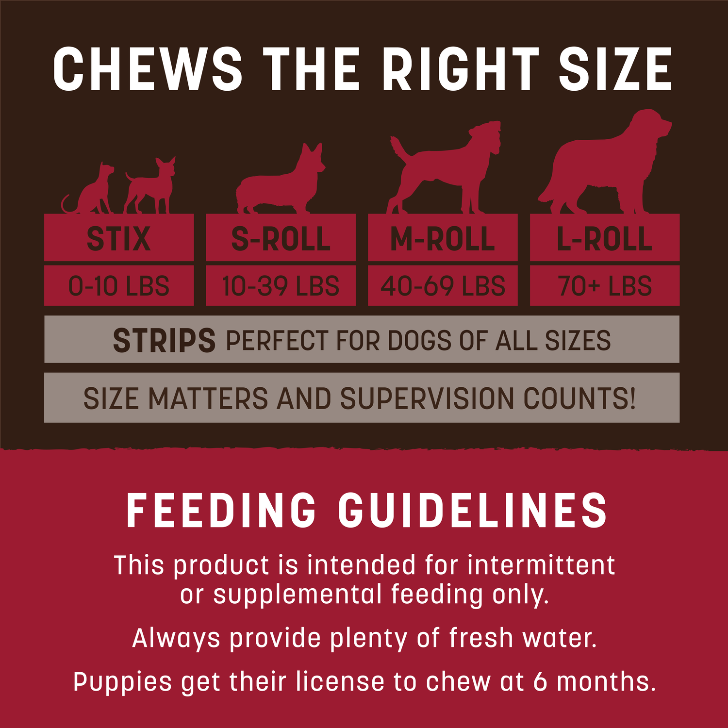 Earth Animal No-Hide Rawhide Alternative Dog & Cat Treat Stix, Grass-Fed Beef, 1-Each