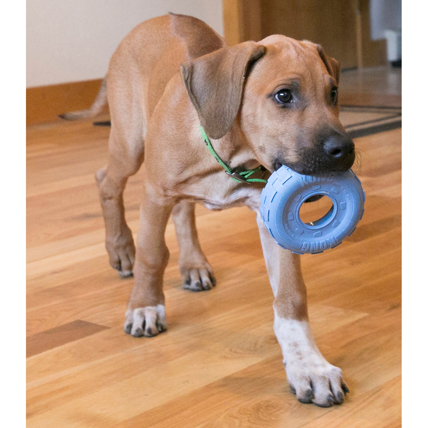 Kong Puppy Soft Rubber Tires Dog Chew Toy