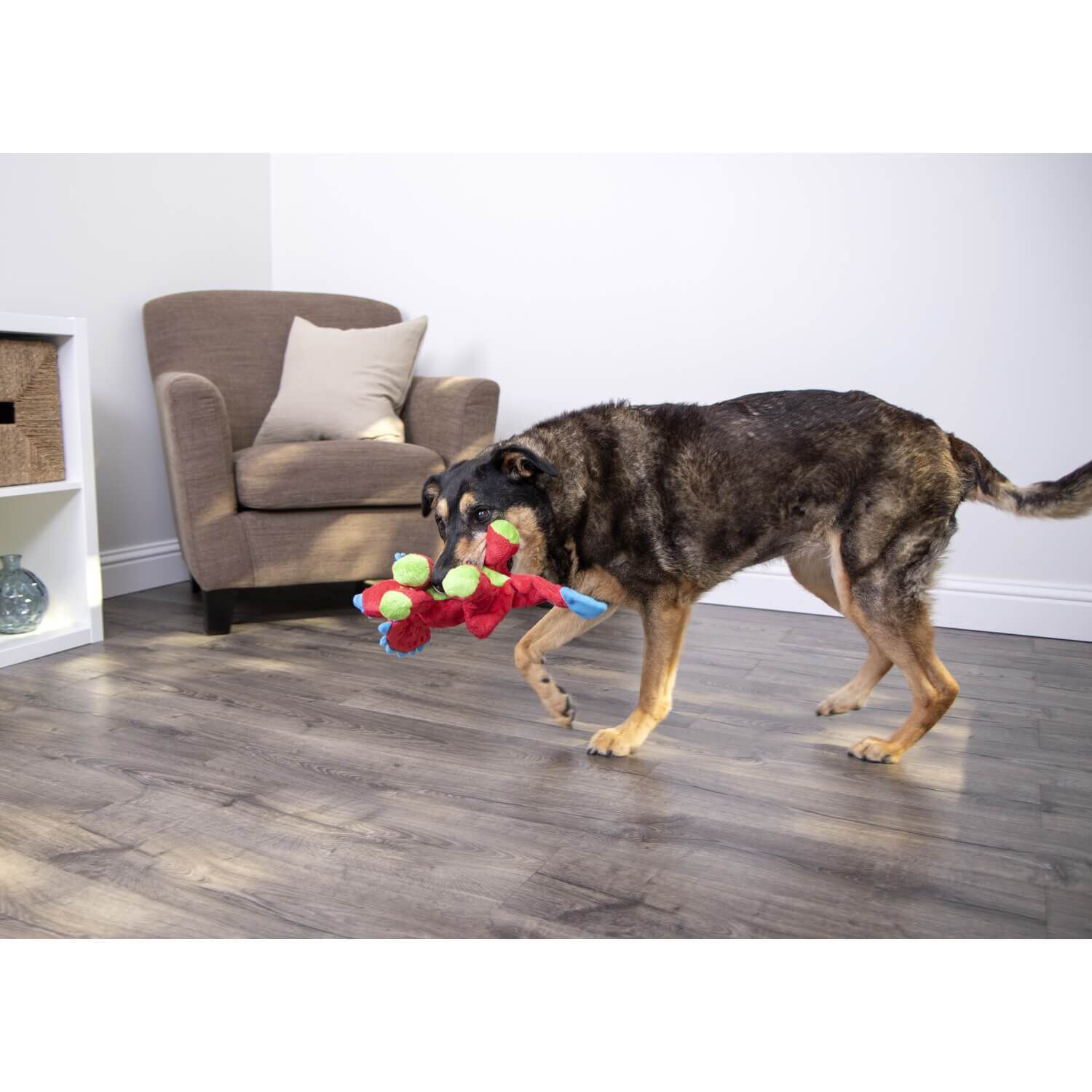 Godog Dinos Frills Squeaky Plush Dog Toy