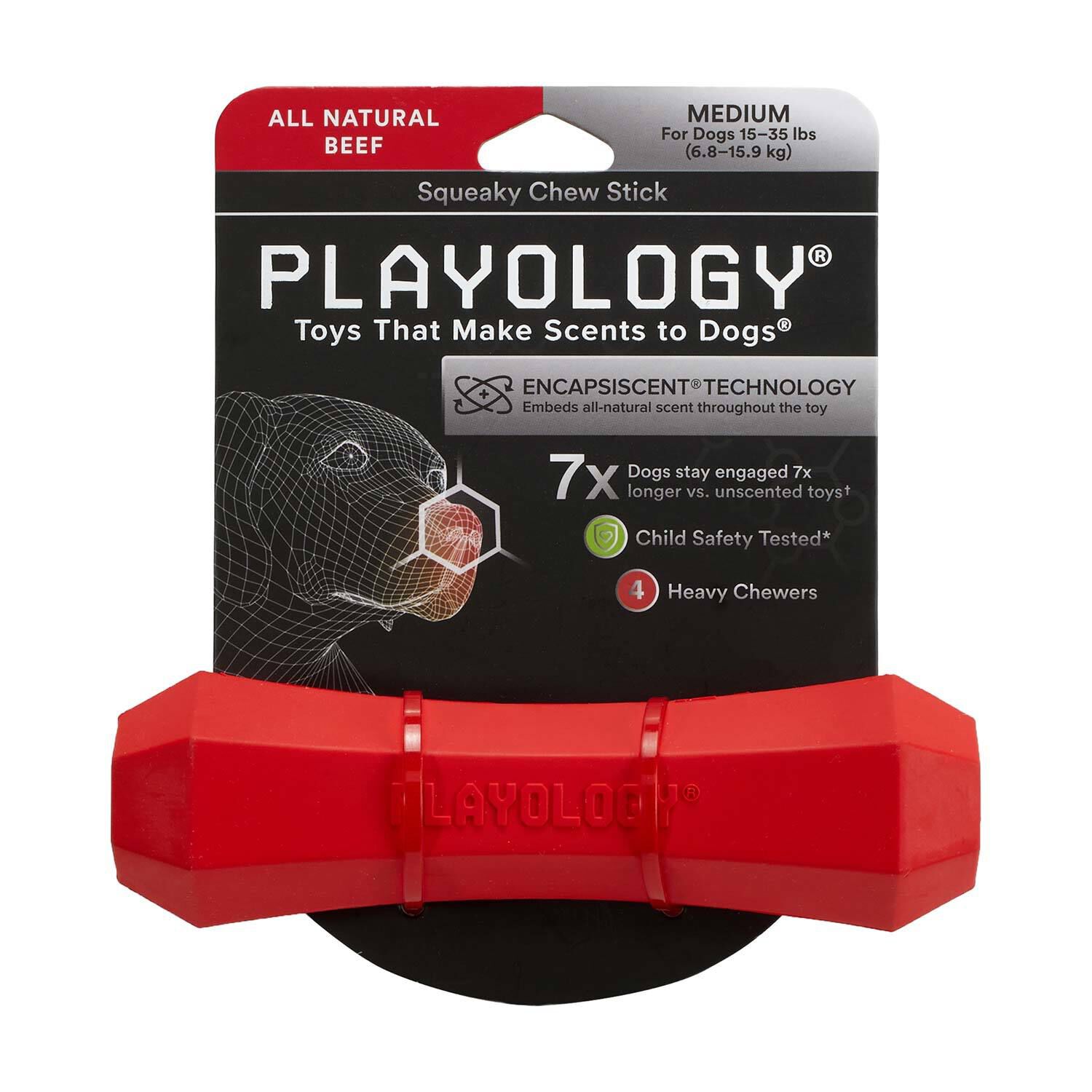 Playology All Natural Beef Scented Squeaky Chew Stick Dog Toy