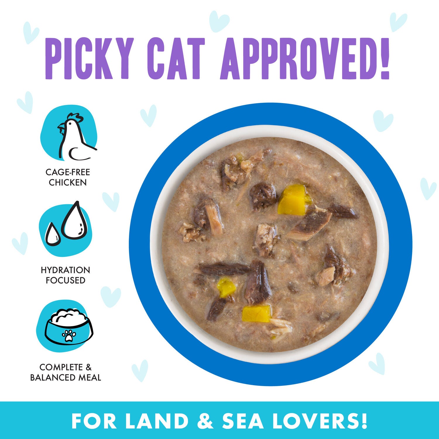 Weruva Bff Omg Gravy Chicken & Pumpkin Love Munchkin! Wet Cat Food, 2.8-Oz Can
