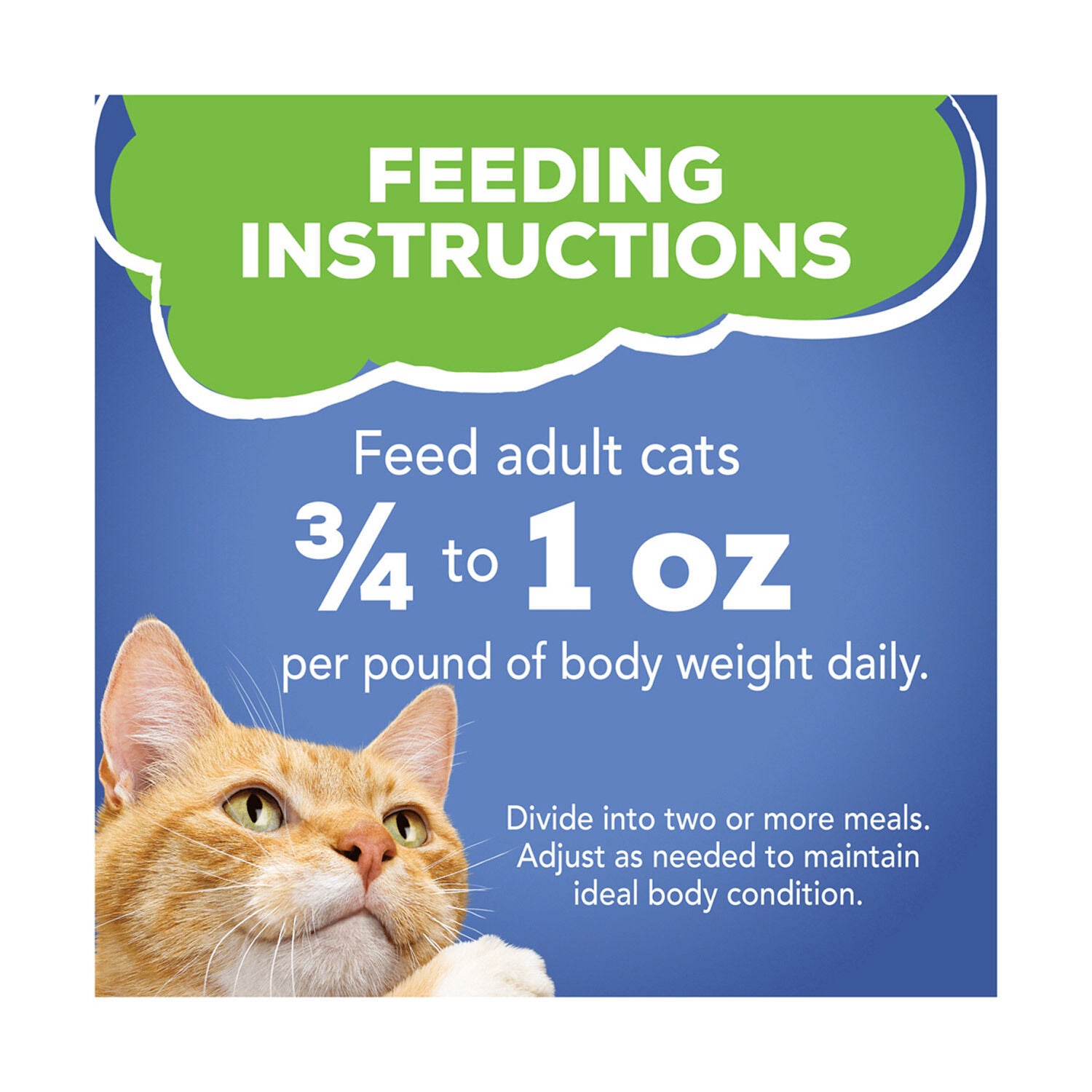 Friskies on sale seafood pate