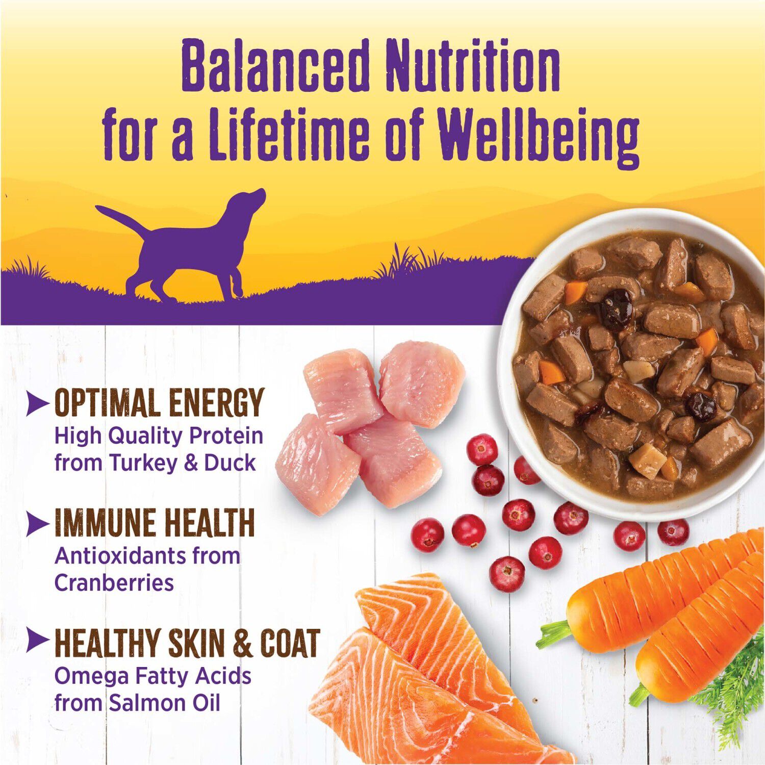 Wellness Thick & Chunky Natural Grain Free Turkey & Duck Stew Wet