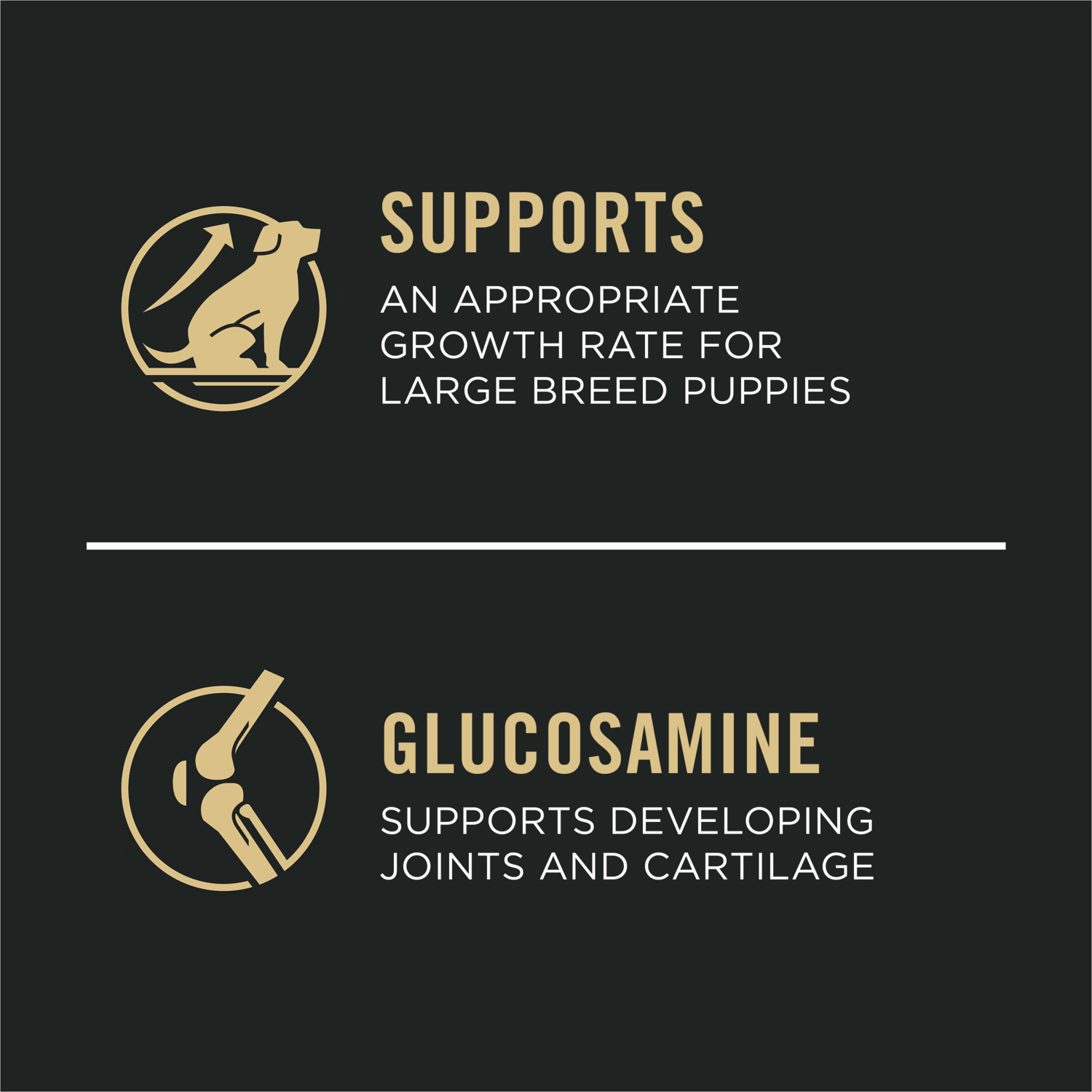 Purina Pro Plan Large Breed Puppy Dry Dog Food, Chicken And Rice Formula, 47Lb