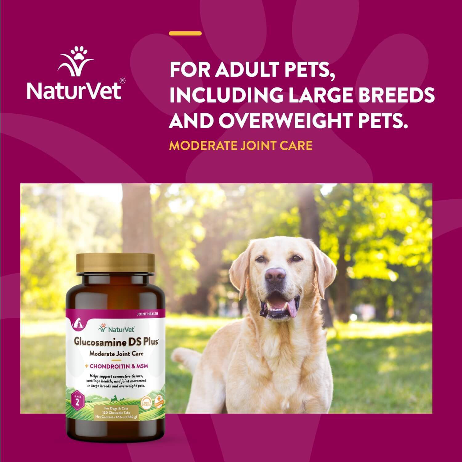 Naturvet Glucosamine Ds Plus Moderate Joint Care Supplement Tabs For Dogs & Cats