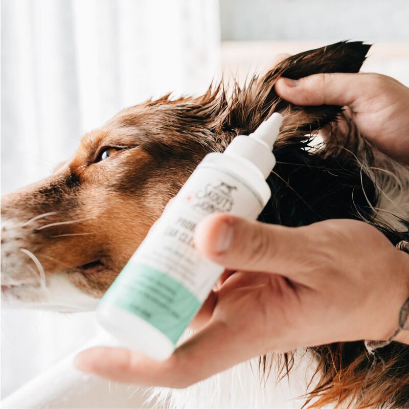 Probiotic Ear Cleaner For Dogs & Cats image number 3