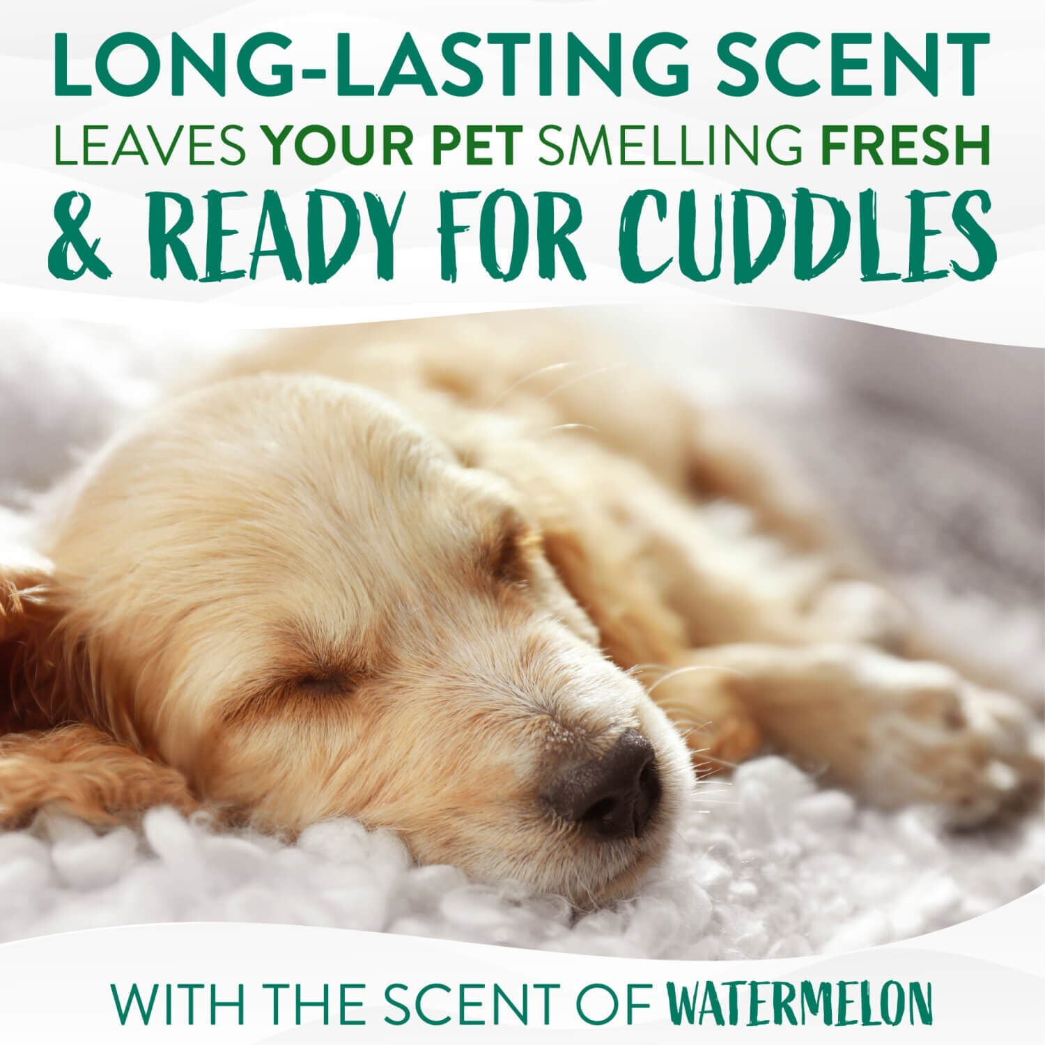 Tropiclean Deep Cleaning Refreshing Watermelon Dog & Cat Pet Wipes