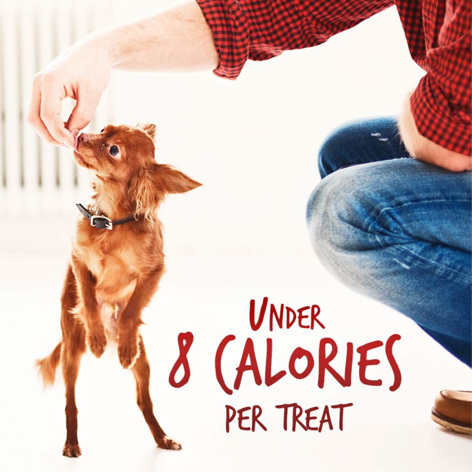 Fruitables Crispy Bacon & Apple Flavor Dog Treats | Pet Supermarket