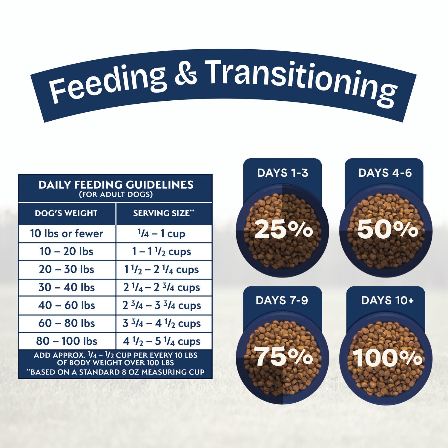 Natural Balance Health Protection Dry Dog Food, Salmon, Brown Rice & Pumpkin Recipe, 4 Lbs.