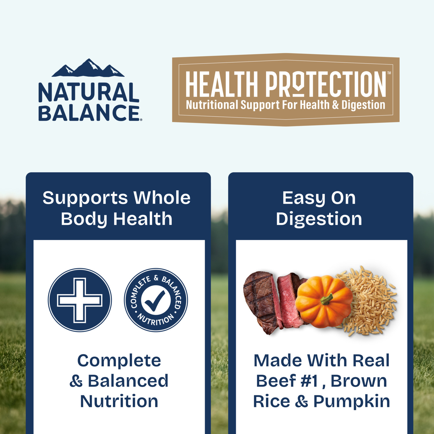 Natural Balance Health Protection Wet Dog Food, Beef, Pumpkin & Brown Rice Stew, 12.5-Oz.