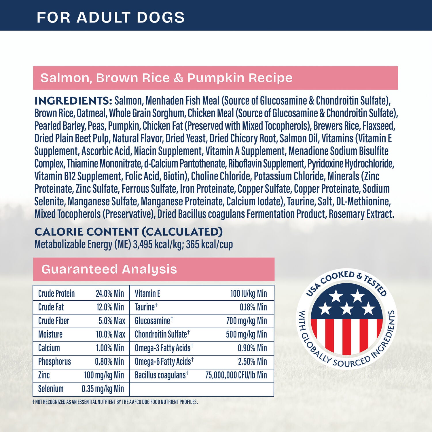 Natural Balance Health Protection Dry Dog Food, Salmon, Brown Rice & Pumpkin Recipe, 4 Lbs.