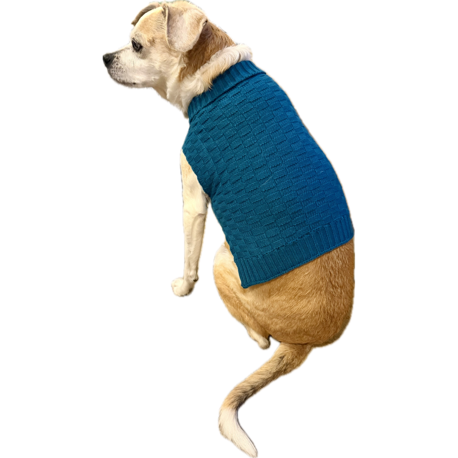 Aristopet Blue Checkerboard Dog Sweater