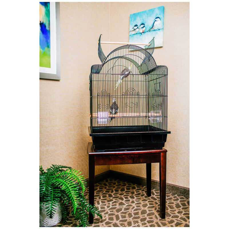 Open Top Victorian Cage Black For Birds image number 2