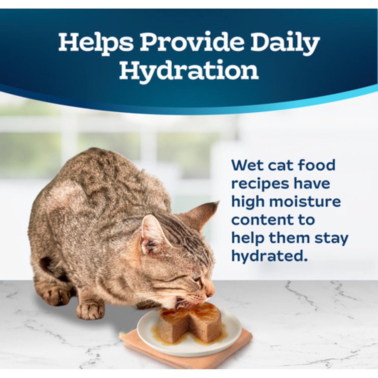 Blue Buffalo Tastefuls Wet Cat Food, Turkey & Chicken Entree Pate, 3-Oz Can