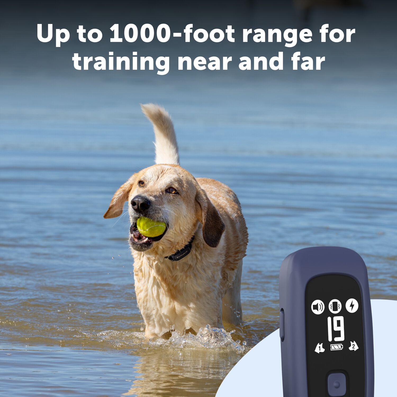 Petsafe Pro Dog Trainer With Remote, Waterproof Dog Training Collar 1000 Ft Range, Sleek Remote Training Collar