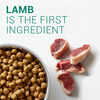 Nutro Limited Ingredient Diet Adult Lamb & Sweet Potato Recipe Dog Food