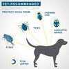 Seresto Flea & Tick Collar For Dogs, Over 18 Lbs thumbnail number 3