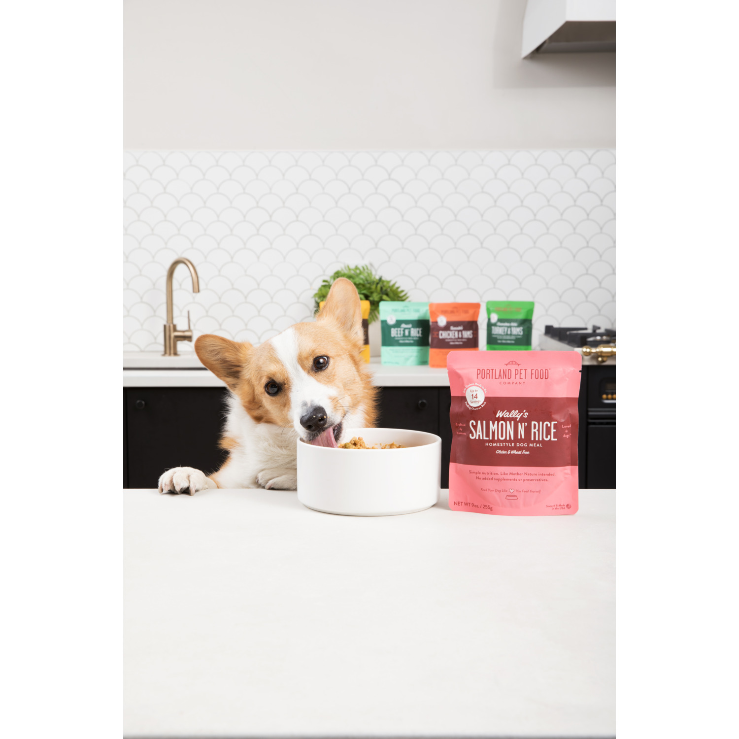 Portland Pet Food Company Wally's Salmon N' Rice Homestyle Gently Cooked Wet Dog Food