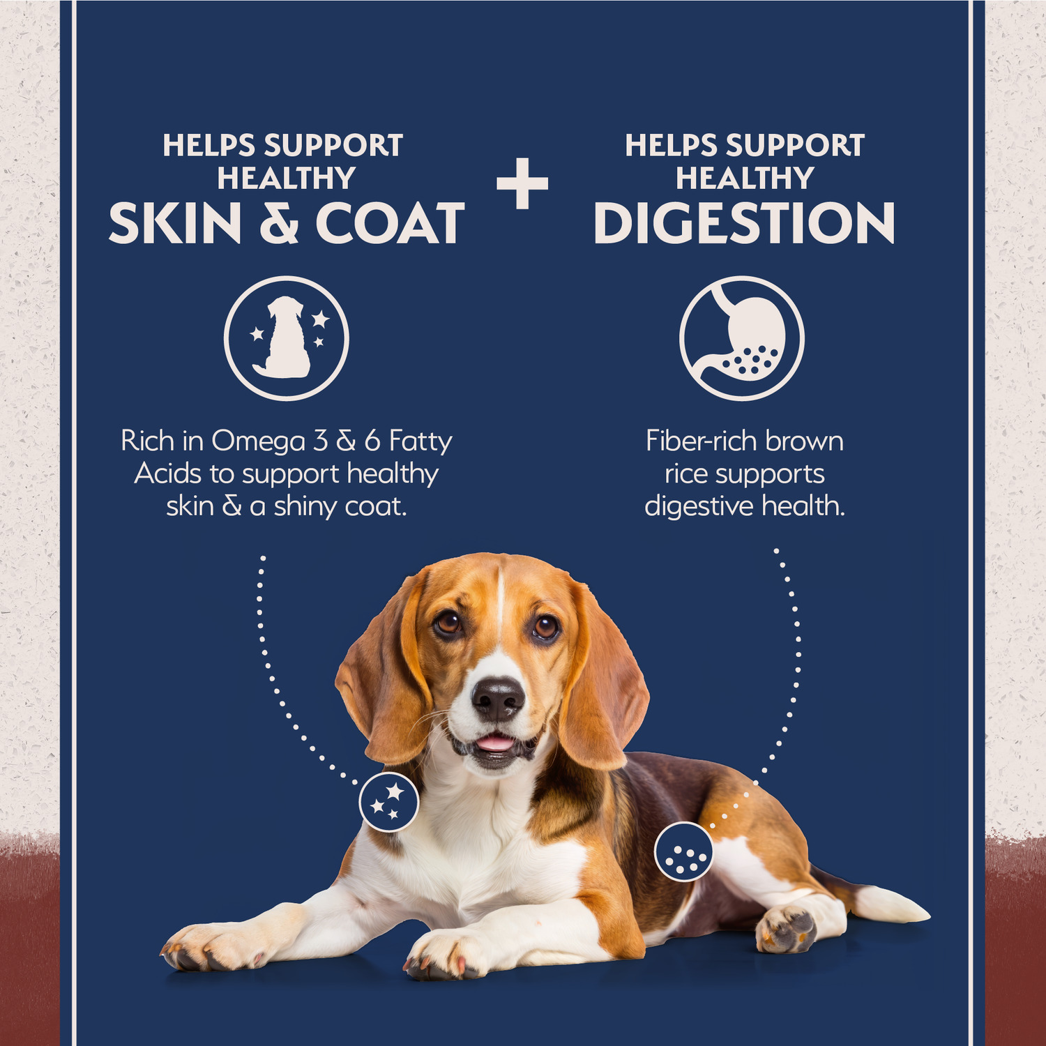 Natural Balance Limited Ingredient Dry Dog Food, Beef & Brown Rice Recipe, 4-Lbs
