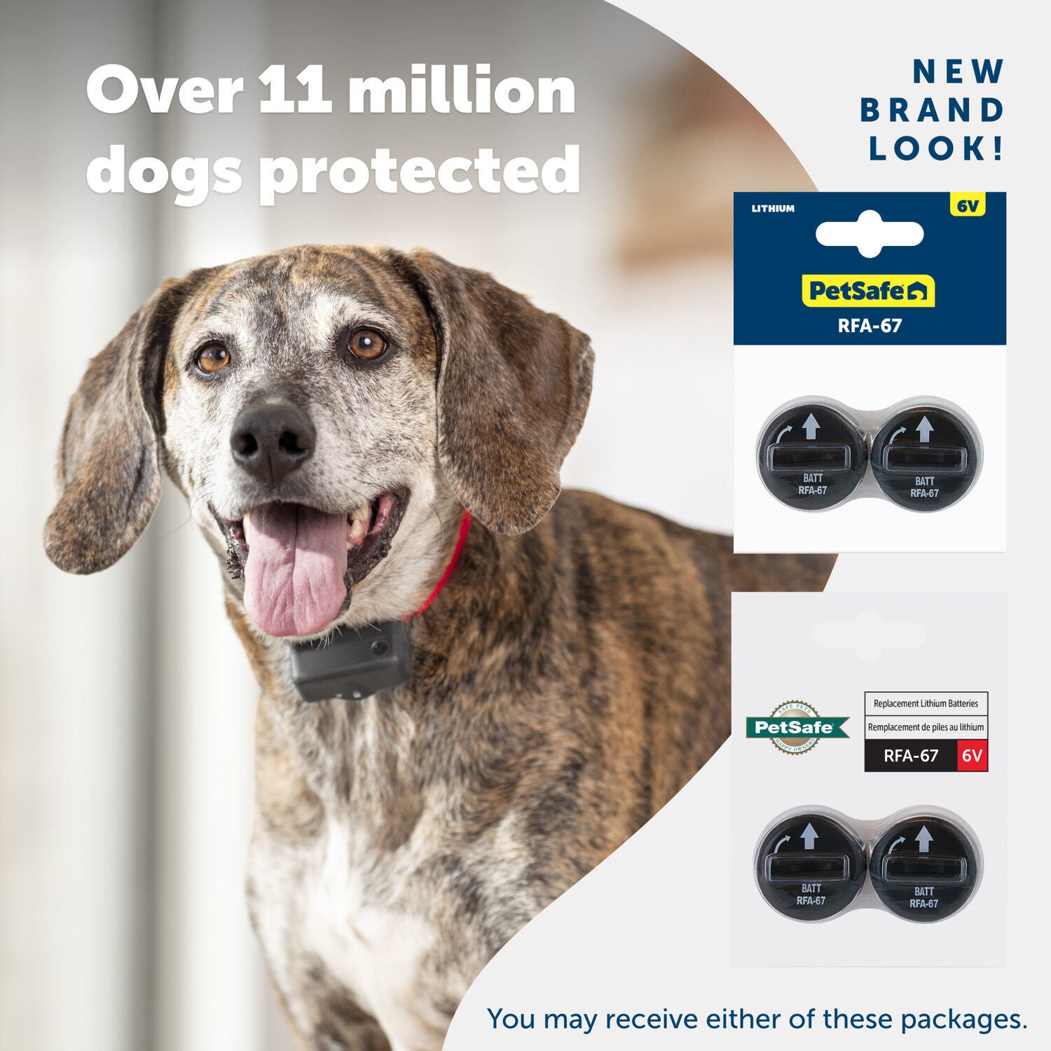 6 volt battery discount for dog collar