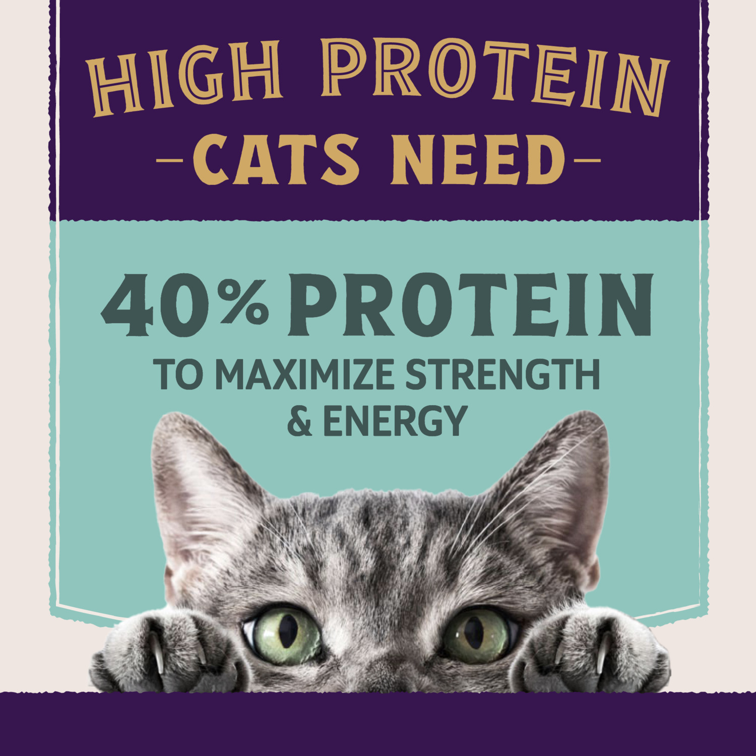 Natural Balance Ultra Protein Plus Dry Cat Food, Immune And Digestive Health Real Chicken & Chicken Meal, 2.5 Lbs.