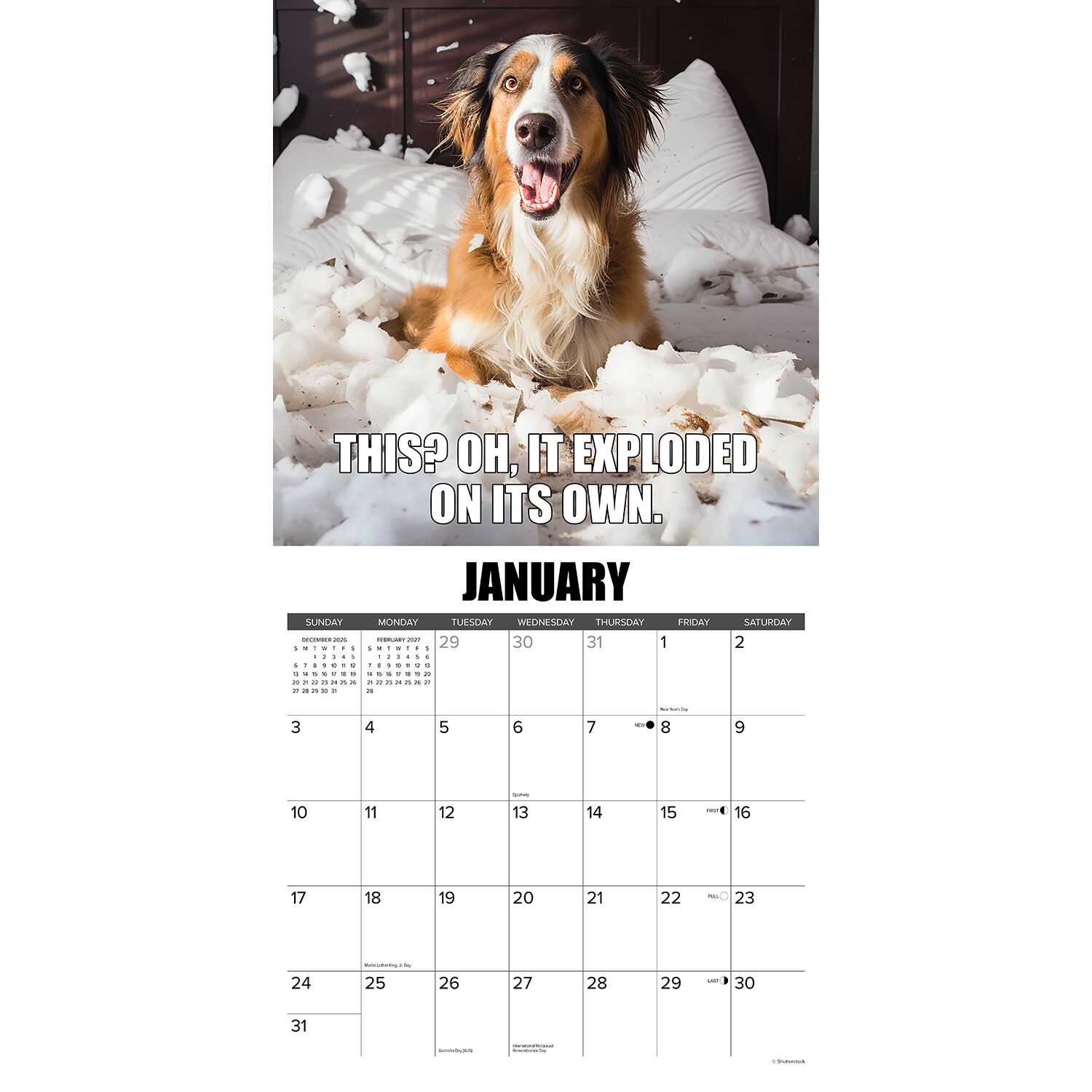 Willow Creek Press Dog-Gone-It 2027 Wall Calendar
