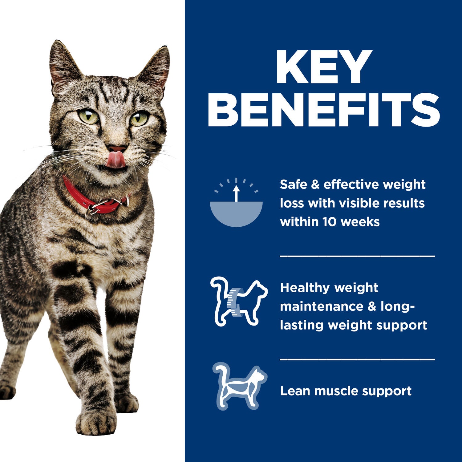 Hill's Science Diet Adult Perfect Weight Wet Cat Food Variety Pack, Vegetable & Chicken And Liver & Chicken, 2.9-Oz. 12-Pack