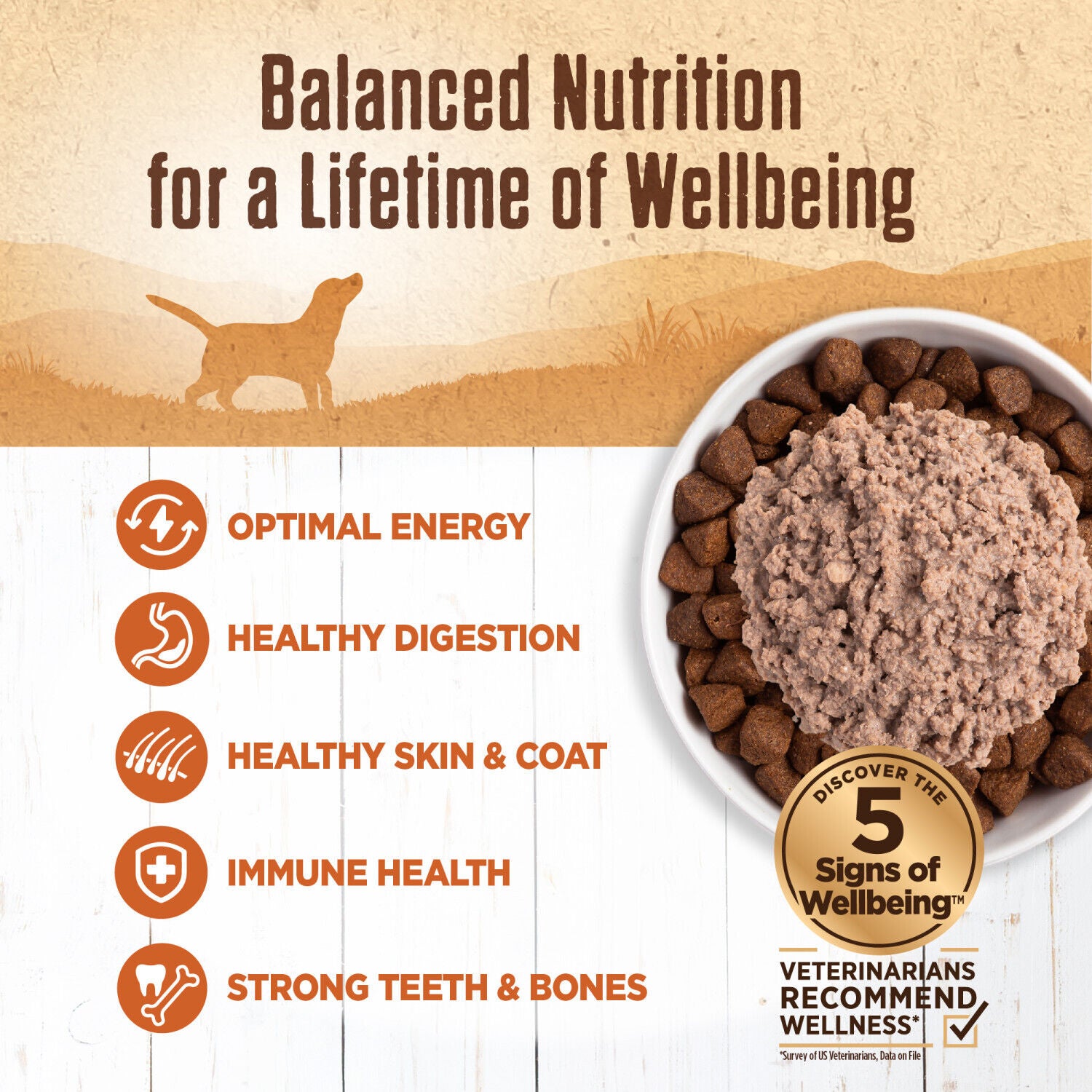 Wellness 95% Turkey Natural Wet Grain Free Canned Dog Food, 13.2-Ounce Can