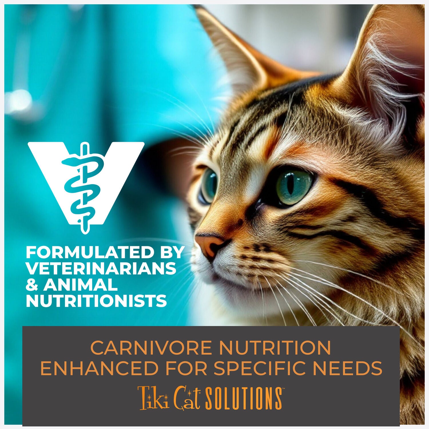 Tiki Cat Solutions Mousse, Mobility, Chicken & Tuna Recipe In Broth, 2.4-Oz Pouch