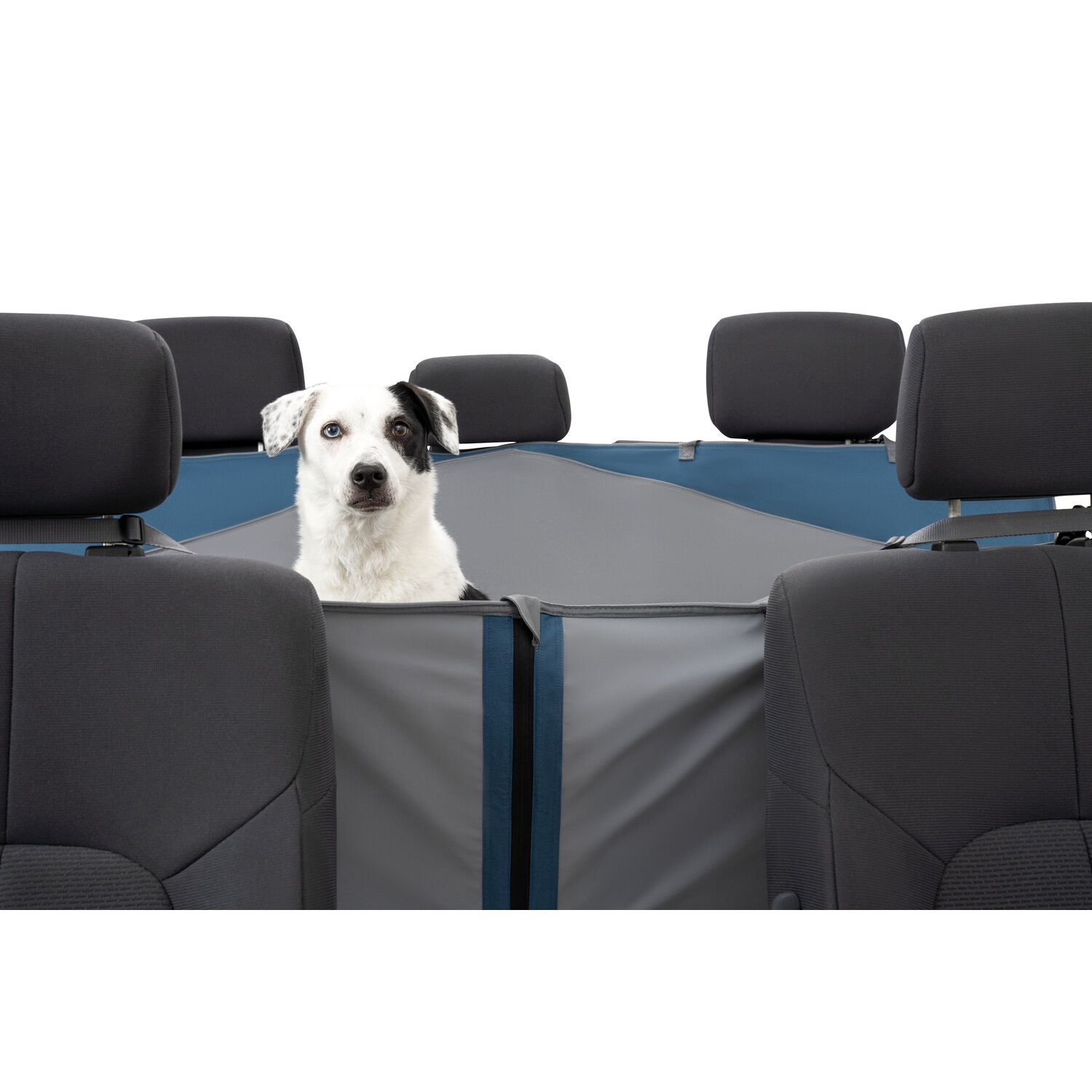 Kurgo Rover Dog Hammock Water-Resistant Dog Car Seat Cover, 55" Wide For Cars & Suvs, Grey