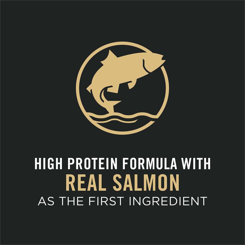 Purina Pro Plan Specialized Sensitive Skin & Stomach Salmon & Rice Formula Dry Dog Food