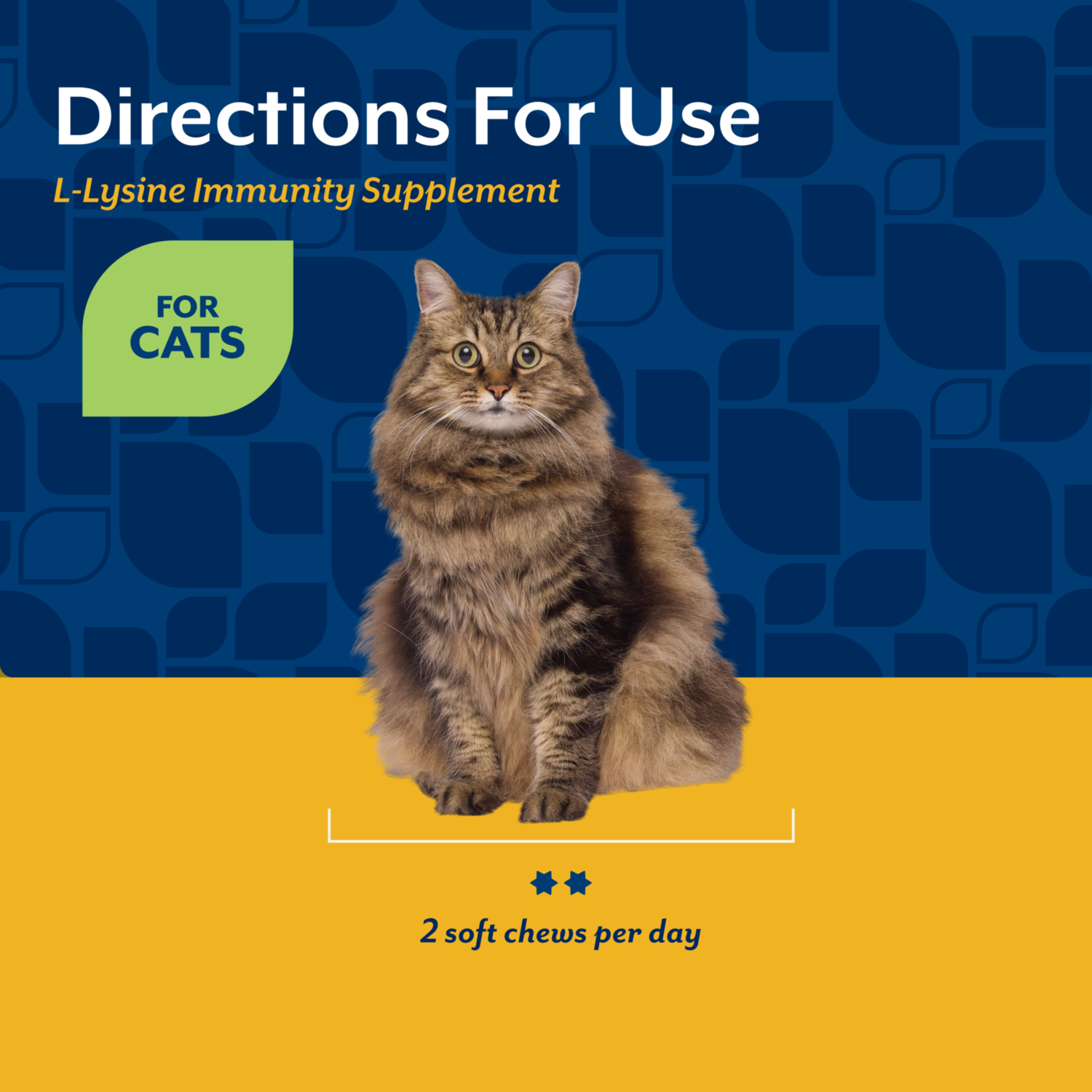 Naturvet L-Lysine Immune Support Plus Antioxidants Cat Soft Chew Supplement