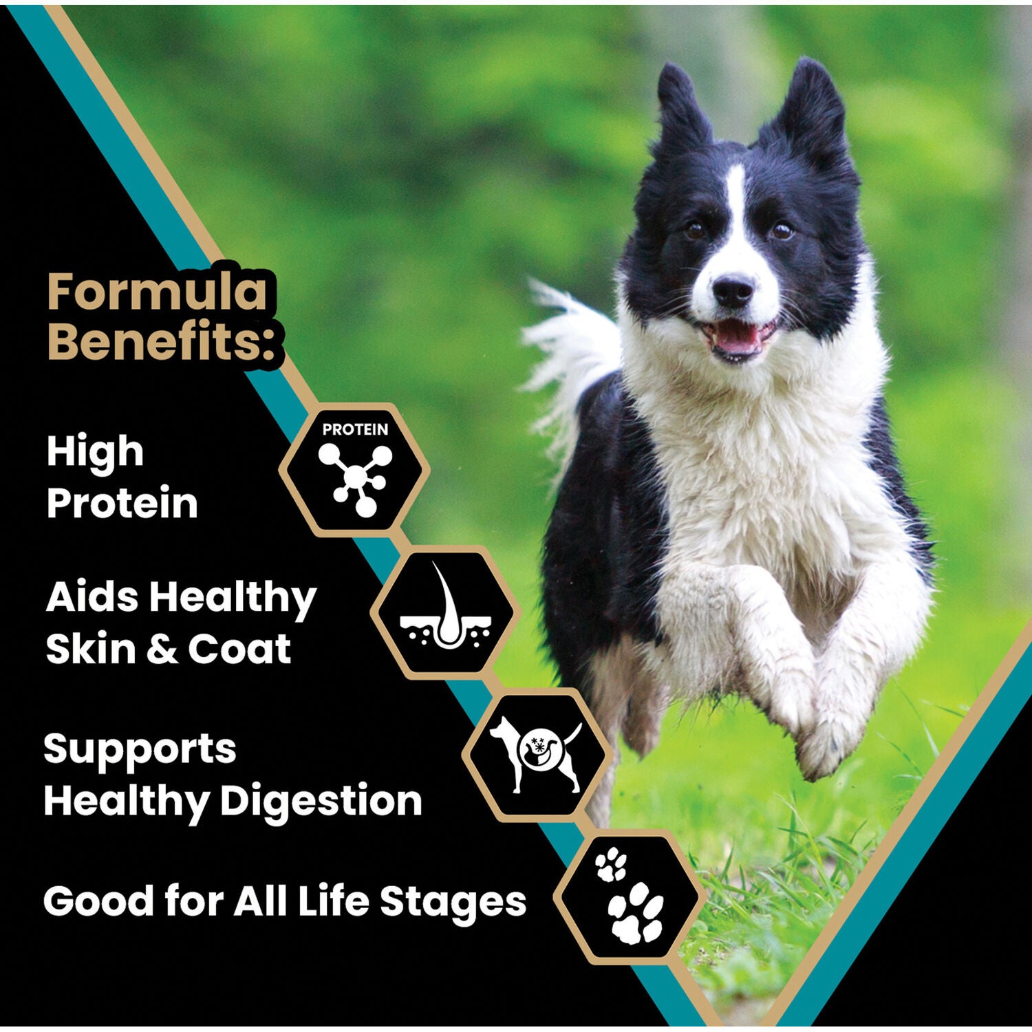 Victor Classic Hi Pro Plus Dry Dog Food, 15Lb | Pet Supermarket