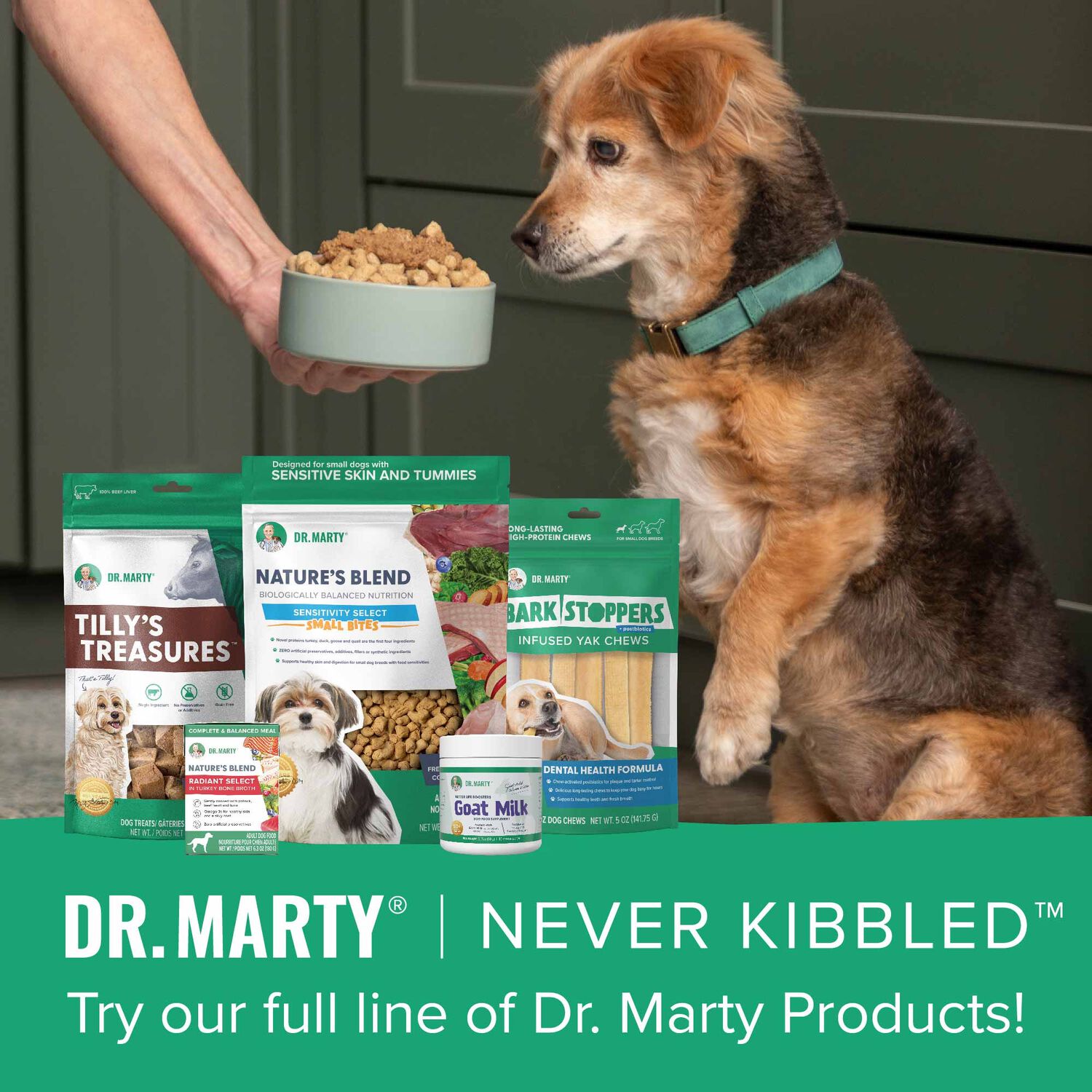 Dr. Marty Nature's Blend Sensitivity Select Small Bites Freeze-Dried Raw Dog Food, 6-Oz