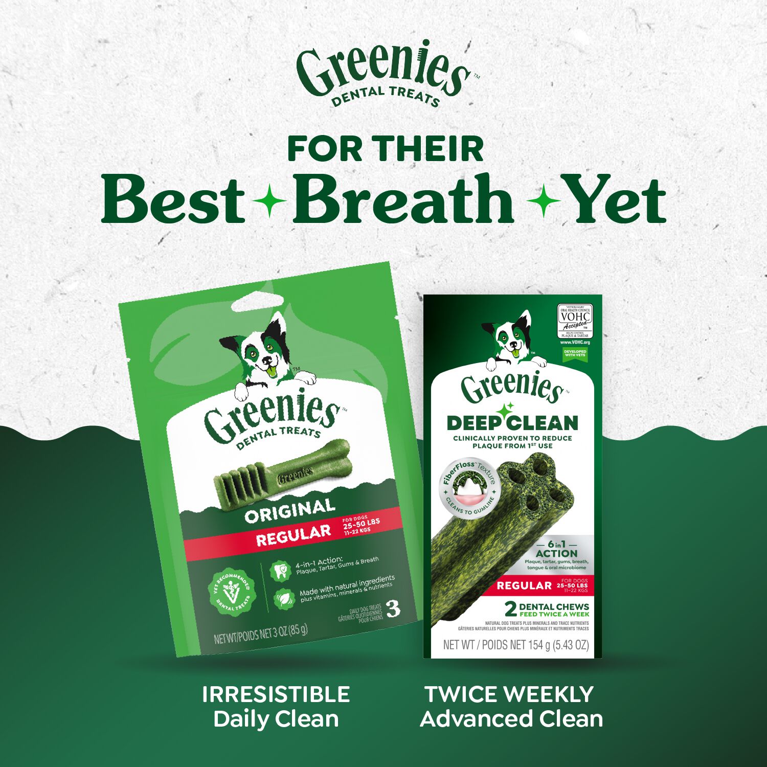 Greenies Deep Clean Original Flavor Regular Size Dental Dog Treats, 5.64 Oz, 2 Count