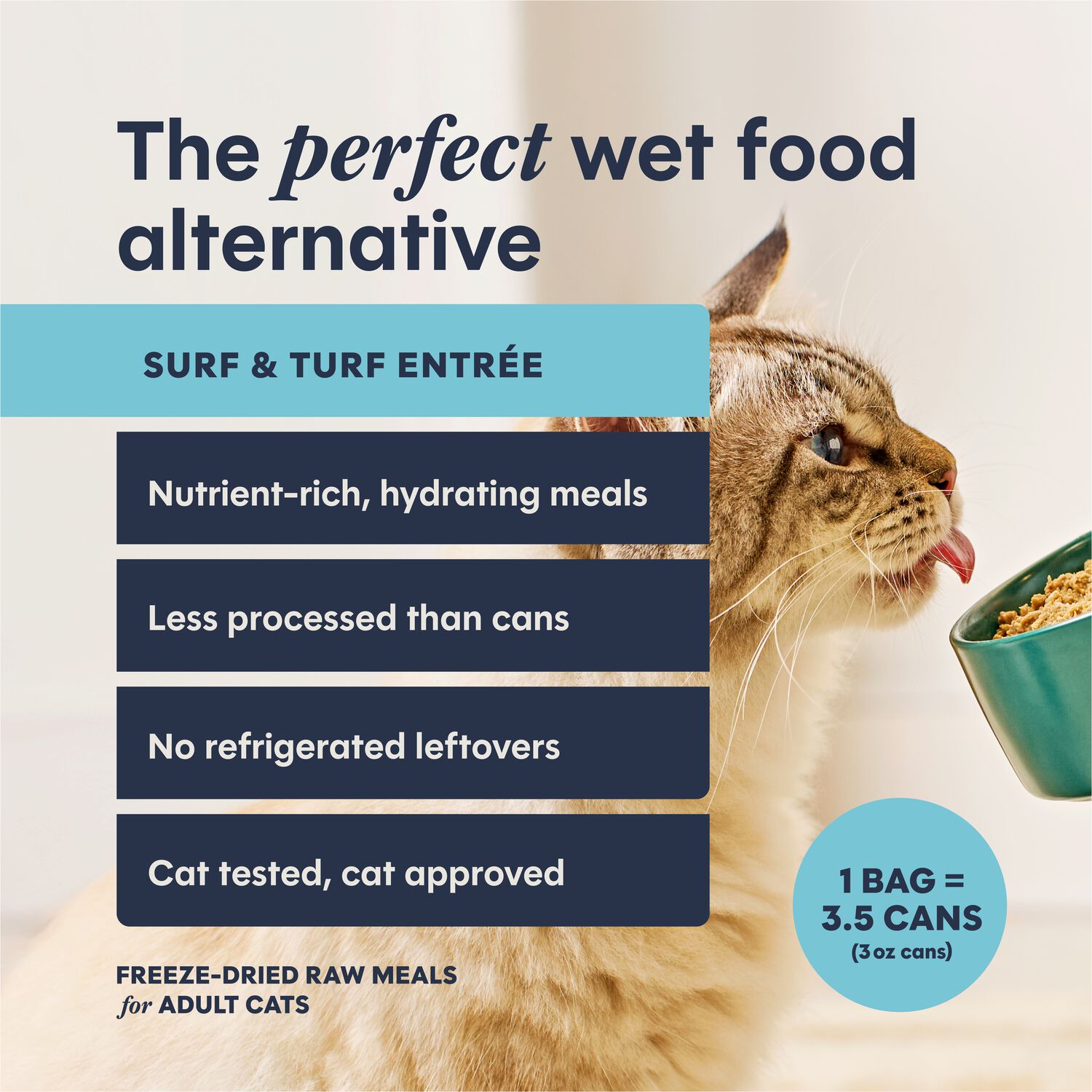 Instinct Freshdried Pates Grain-Free Freeze-Dried Raw Adult Cat Food, Surf & Turf Entr&eacute;e, 13-Oz Bag
